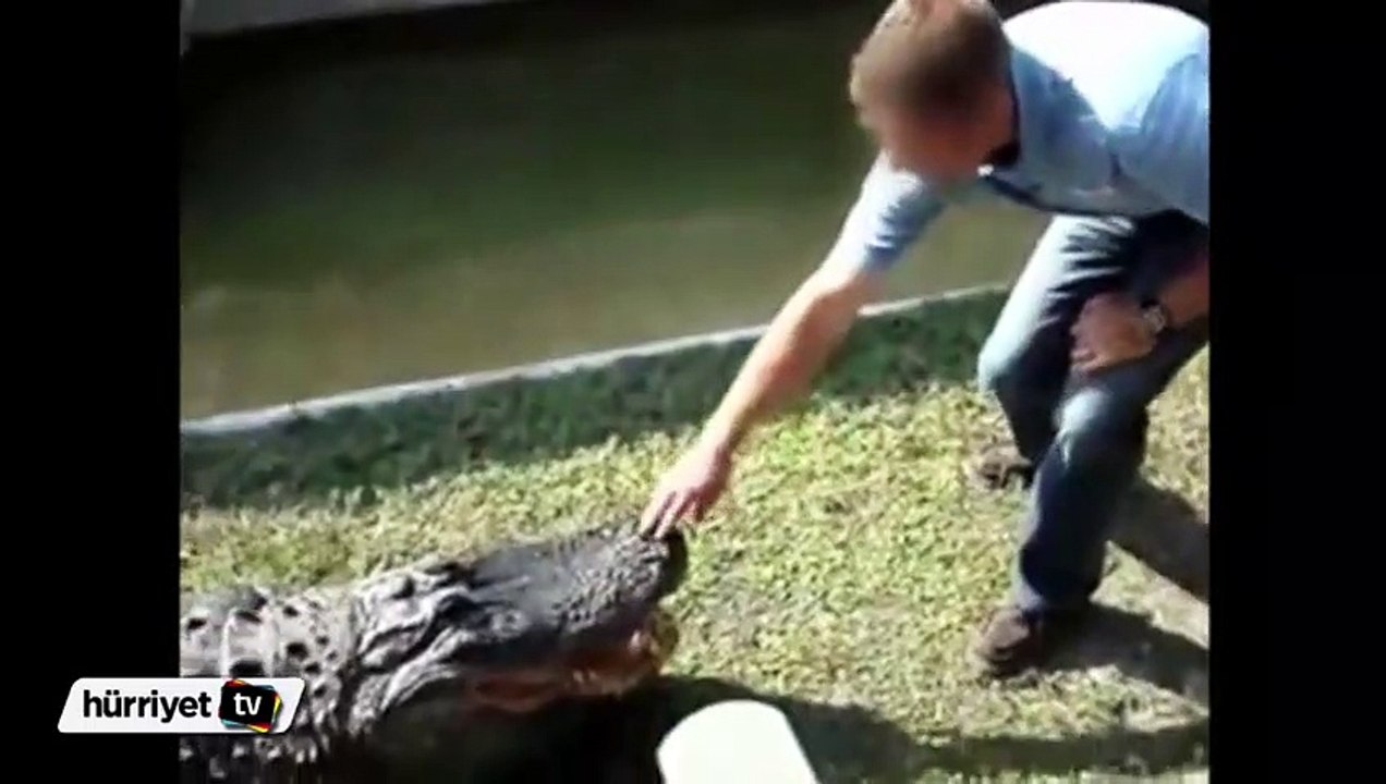 Timsahla oyun oynamanın hazin sonu