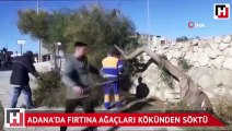 Adana'da fırtına ağaçları kökünden söktü