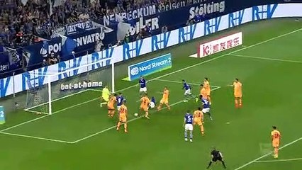 Schalke 2-5 Hoffenheim (MAÇ ÖZET)