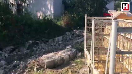 Tır eve çarptı, yataklarında uyuyan 2 kardeş yaralandı