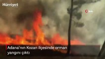 Son dakika haberler... Adana'nın Kozan ilçesinde orman yangını