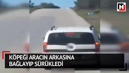 Köpeği aracın arkasına bağlayıp sürükledi