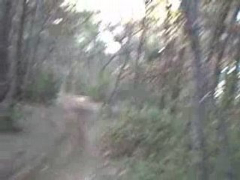freestyle on dirt 200cc
