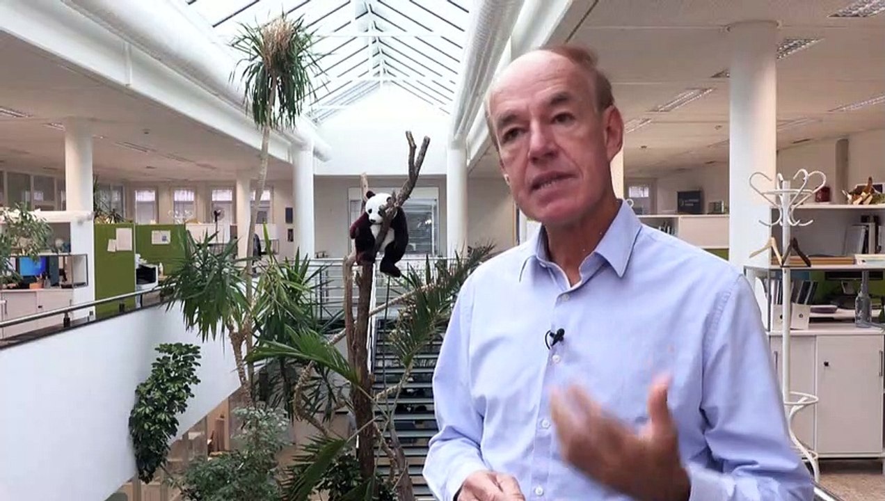 WWF: Menschheit hat 70 Prozent Wirbeltierbestände vernichtet