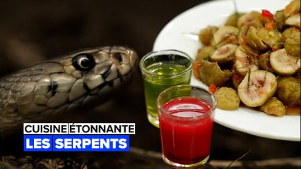 Cuisine étonnante : les serpents