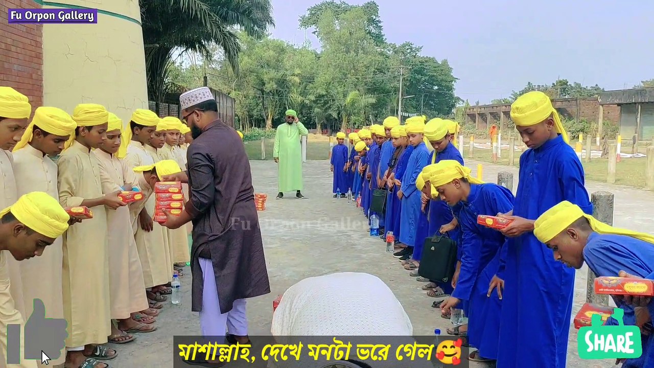 Islamic video. আদর স্নেহ করলে কোরআনের পাখিগুলোকেই করবেন