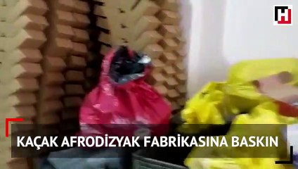 Kaçak afrodizyak fabrikasına baskın