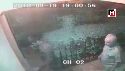 Afghan murderer nabbed after hiding corpse in pull sofa