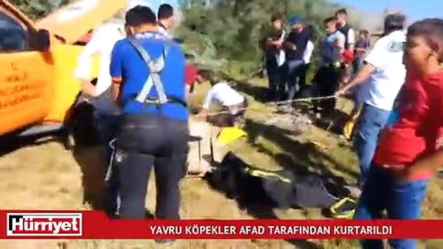Kuyuya düştükten sonra burada 8 yavru yapan köpek, Afad tarafından kurtarıldı