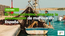 El calor extremo amenaza la producción de marisco en España