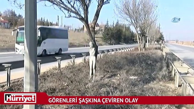 Çevre yolunda ağaca asılan cansız çıplak kadın manken şaşkınlığı