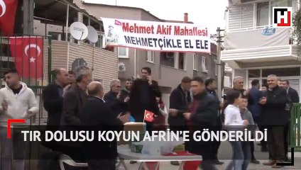 Tır dolusu koyun Afrin’e gönderildi