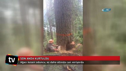 Ağacın altında kalmaktan son anda kurtuldu