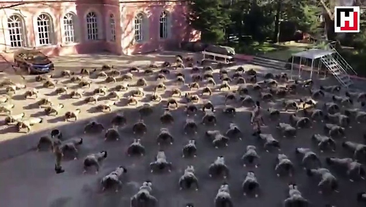 Kadın subaylardan tüyleri diken diken eden çalışma!