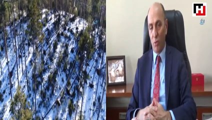 Kuvvetli rüzgarın kökünden söktüğü ağaçlar havadan görüntülendi