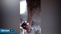 Kestiği ağacın gazabına uğradı