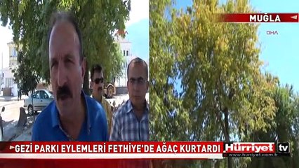 FETHİYE'DE 3 AĞAÇ İÇİN AVM PROJESİ DEĞİŞTİRİLDİ