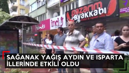 Descargar video: Halk otobüsünün üzerine ağaç ile aydınlatma direği devrildi