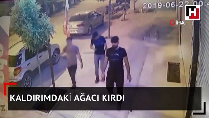 Kaldırımdaki ağacı böyle kırdı