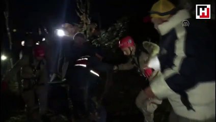 Kestikleri ağaç üzerlerine devrilen çift öldü