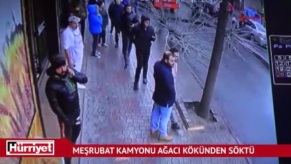 Meşrubat kamyonu ağacı kökünden söktü