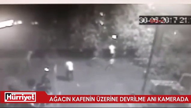 Ağacın kafenin üzerine devrilme anı kamerada