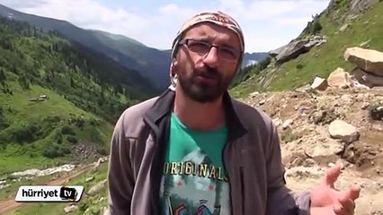 Yeşil Yol’da ağaç katliamı