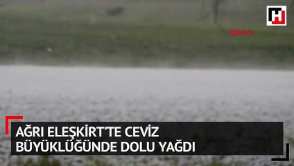 Ağrı Eleşkirt'te ceviz büyüklüğünde dolu yağdı