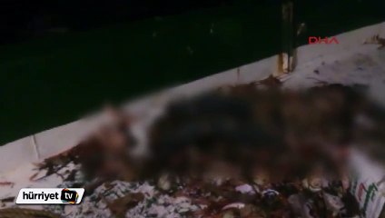 Trol ağlarına ceset takıldı