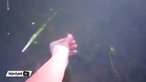 Elle dev balık nasıl yakalanır