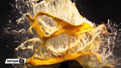 Ağır çekimde vurulan objeler