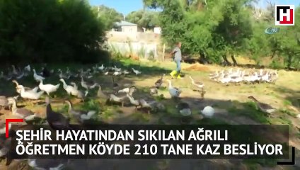 32 yıllık öğretmen... Şehir hayatını bıraktı köye yerleşti! Kendine iş kurdu