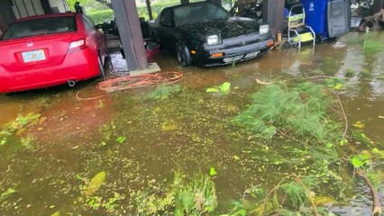 Cars Ruined From Hurricane Ian Flooding
