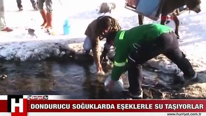 DONDURUCU SOĞUKLARDA EŞEKLERLE SU TAŞIYORLAR