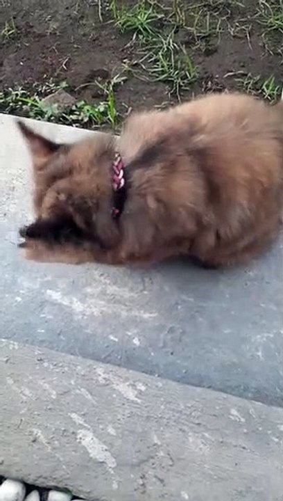 Kitty...