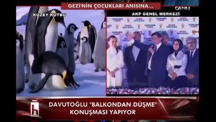 Halk Tv'den balkon konuşmasına penguen göndermesi