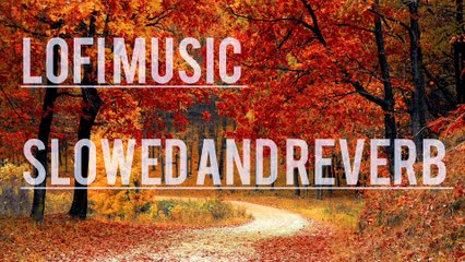 Top Lofi Songs for Relaxation & Focus 🎶