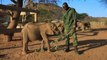 Un santuario de elefantes cuida de las crías huérfanas por la sequía en Kenia