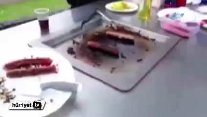 Şahin yılanı piknik yapan ailenin üzerine bıraktı