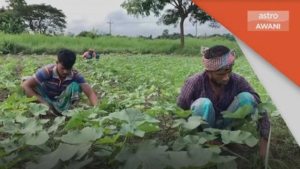 Perubahan Iklim | Sri Lanka sebuah negara yang sangat rentan