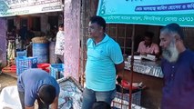 Amazing Hilsa / Ilish Fish Big Market In Bangladesh