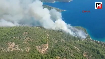 Milas'ta orman yangını