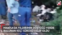 Görür görmez dünyası başına yıkıldı! 'Allah'ım hangisine koşayım...'