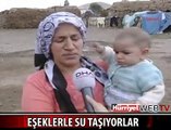 YIL 2010 EŞEKLERLE SU TAŞIYORLAR