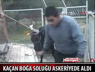 SAHİBİNDEN KAÇTI ASKERİYEYE SIĞINDI