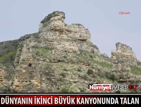 DEFİNE AVCILARI TALAN ETTİ