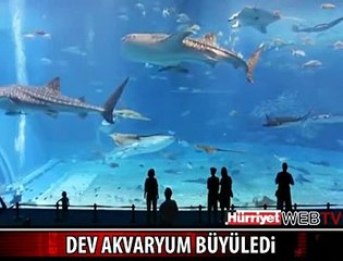 BU GÖRÜNTÜLERİN ADRESİ JAPONYA