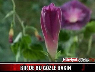 ONLARI HİÇ BÖYLE GÖRMEDİNİZ
