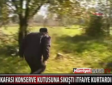 KAFASI KONSERVE KUTUSUNA SIKIŞTI