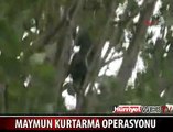 MAYMUN KURTARMA OPERASYONU